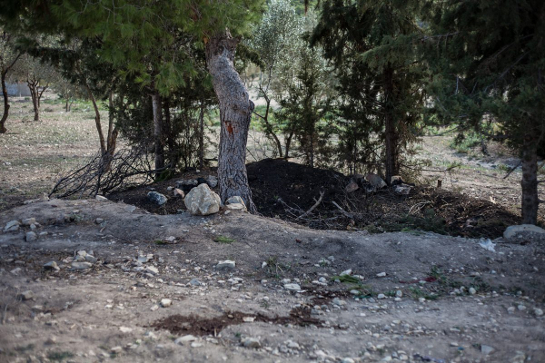 سليانة : أن تعيش حياة البؤس والذعر داخل الغابة