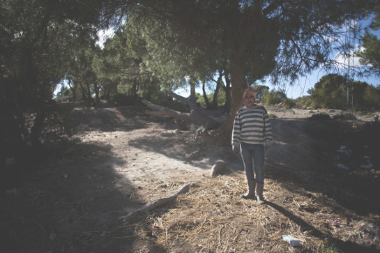 سليانة : أن تعيش حياة البؤس والذعر داخل الغابة
