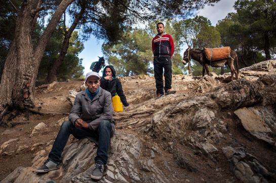 سليانة : أن تعيش حياة البؤس والذعر داخل الغابة