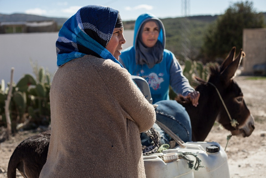 سليانة : أن تعيش حياة البؤس والذعر داخل الغابة