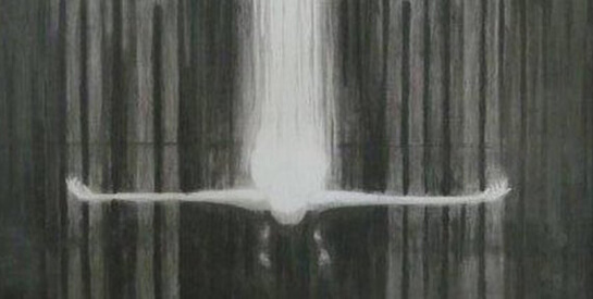 الخوف من الحرية.. حتى في الغربة