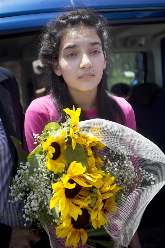 "قلب الحديقة متورّم تحت الشمس"