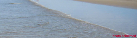 New Design for Babelmed.net