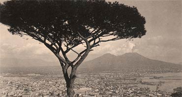 Naples: the Garbage War