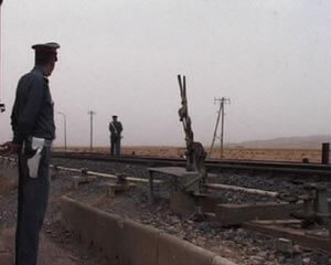 The Maghreb Connection. Movements of Life Across North Africa