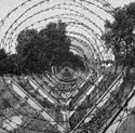 Dar-Med project feature: Who is moderate?