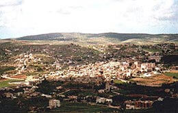 On my relative Muhammed from South Lebanon (II)