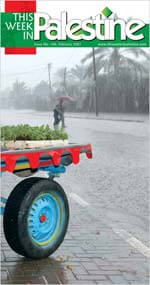 This Week in Palestine