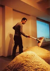 Scavenging in a harvested field