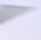 Dossier: We are All Gaza