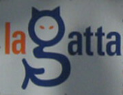 A night in la Gatta: Migrant women prostitutes in Naples