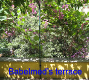 Event Babelmed: Reading with Adania Shibli and Juan Vicente Piqueras