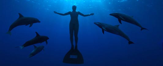 The International Istanbul Film festival