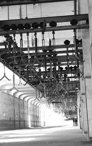 5 hectares of culture in Casablanca