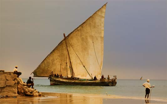 Friche (Urban wasteland) in progress