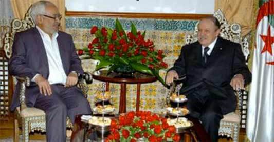 The cat and mouse game