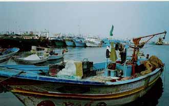 Urgent, cherchons immigrés!