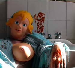 Note su un cinema in DVD