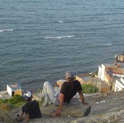 Ces fourmis sont des hommes!