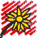 De l’usage des charniers au Maroc (II)