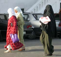 Reforme du statut de la femme au Maroc: un bilan (II)