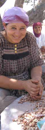 Chère huile d’argan