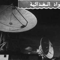 Nouveaux médias dans le monde arabe: des télévisions satellitaires à Internet