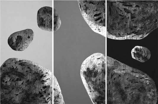 Mounat Charrat, Oeuvres récentes