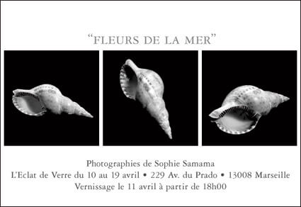 Photographies de Sophie Samama