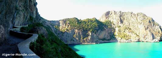 Journal d’un cinéphile (suite)