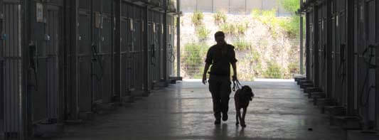 Militaires israéliennes: la fierté et la honte de faire comme les hommes