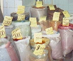 'Youssef', une nouvelle de Kamel Riahi