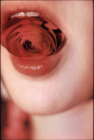 Tous les yeux d’Ornela