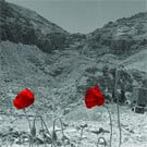 L’architecte et le désert: “To build or not to build?”