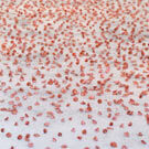 La Palestine entre présence et occultation à la 53ème biennale de Venise