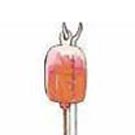 Partenariat entre Babelmed et Eurojar