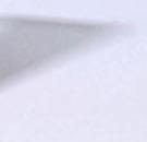 Dossier Gaza: l’horreur dénoncée