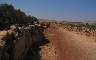 A la découverte des villages antiques de la Syrie du Nord