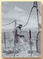 Algérie, une affinité élective