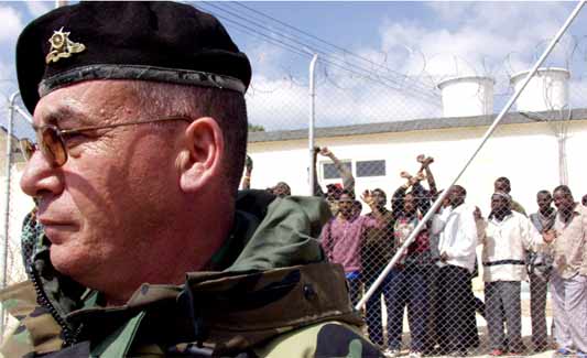 “Traffic Island”