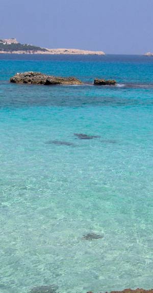 Engagement et intégration. Les défis du monde associatif à Majorque