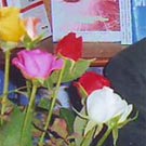 De la violence en littérature. Les écrivains algériens face au tragique