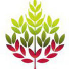 Journal du Citoyen n°6