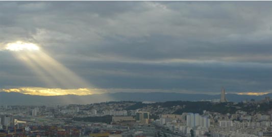 Nouvelle génération des écrivains algériens. Adlène Meddi ou l’esthétique de la cruauté