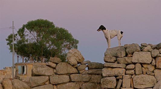De la Croatie à Malte, carnet de voyage d’une candide