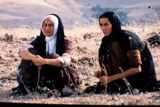 Le cinéma turc dans tous ses états