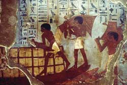 Un musée virtuel des céréales.. vieilles de 2500 ans…