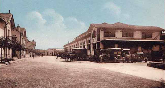 //Les abattoirs d'Alger