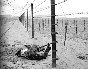 //Le corps d’un combattant de l’ALN électrocuté en tentant de franchir le barrage (DR).