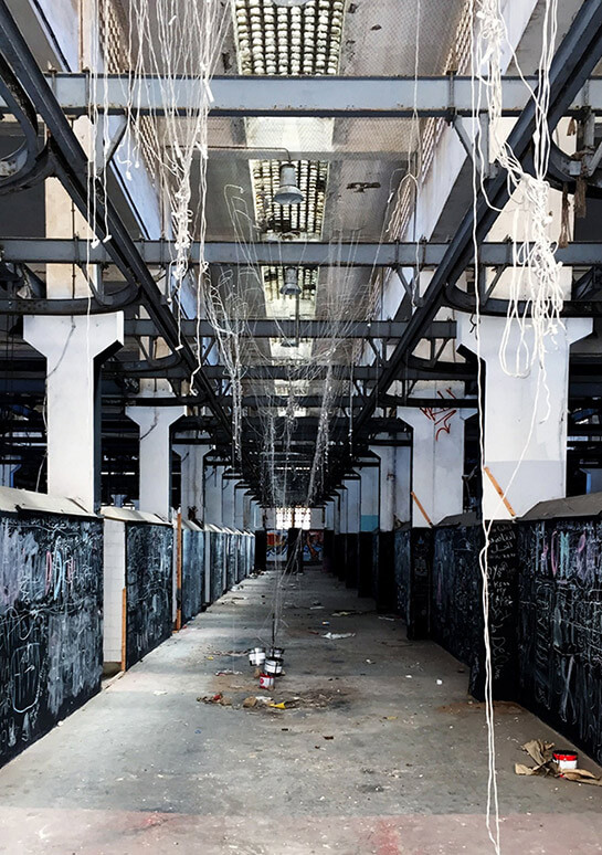 //© Ali Elyounoussi